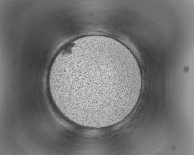 X0000116810058201001291610