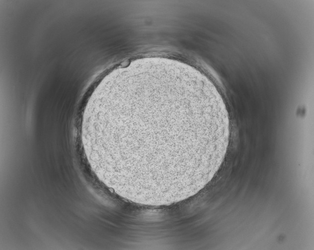 X0000116810059201001291610