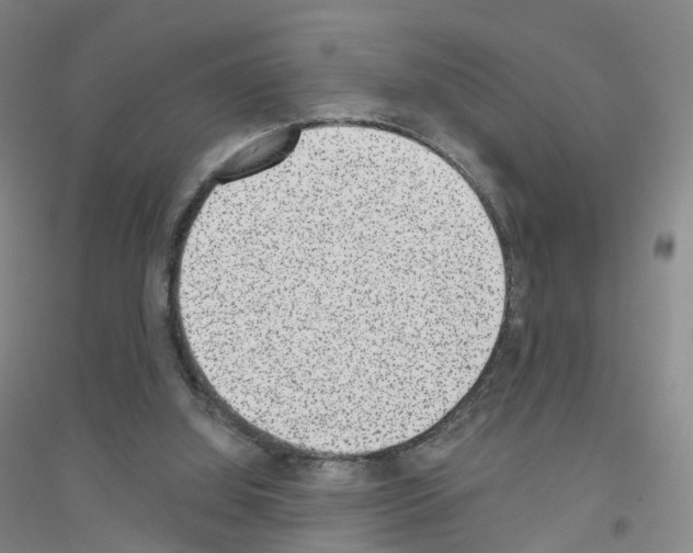 X0000116810060201001291610