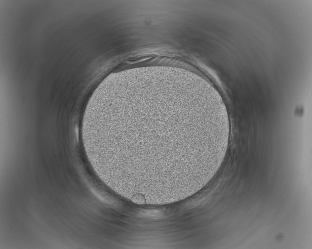 X0000116810061201001291610