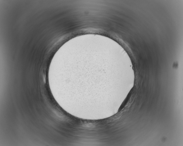 X0000116810062201001291610