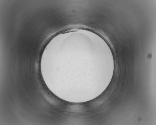 X0000116810063201001291610