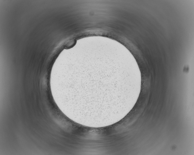 X0000116810064201001291610