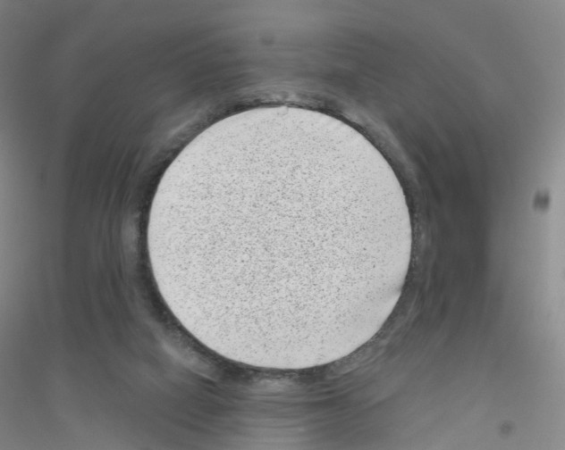 X0000116810066201001291610