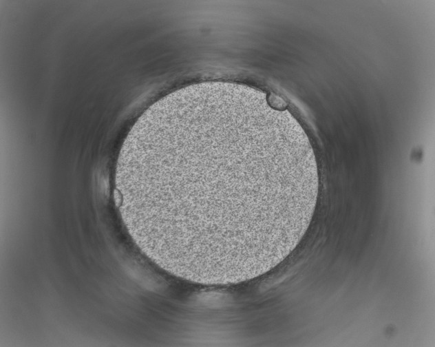 X0000116810067201001291610