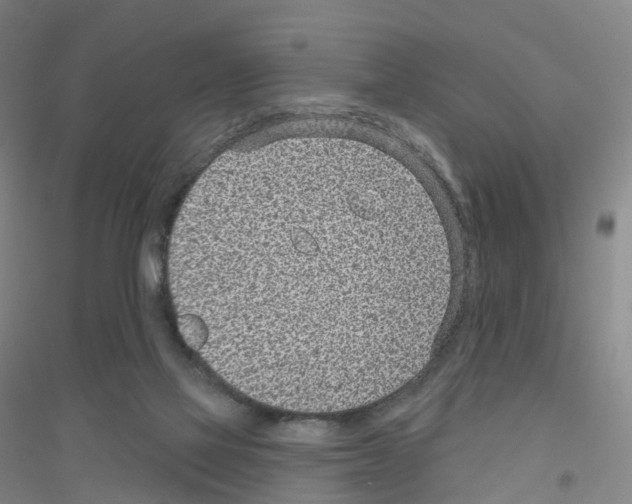 X0000116810069201001291610