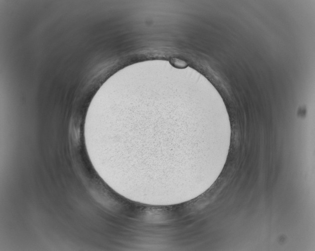 X0000116810070201001291610