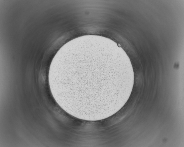 X0000116810072201001291610
