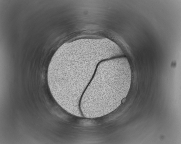 X0000116810073201001291610