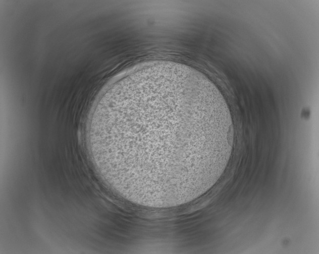 X0000116810075201001291610