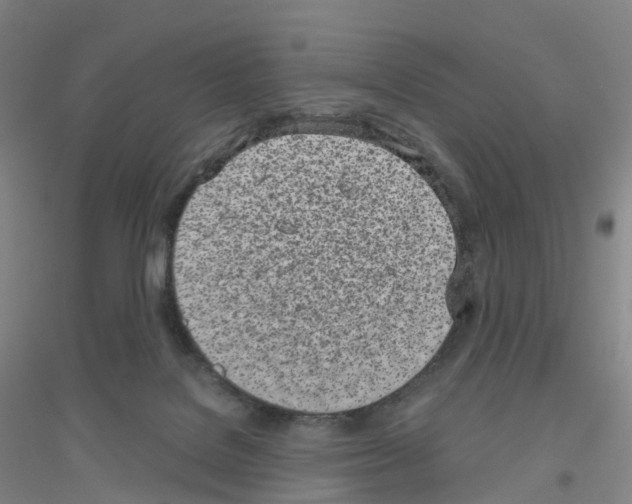 X0000116810076201001291610
