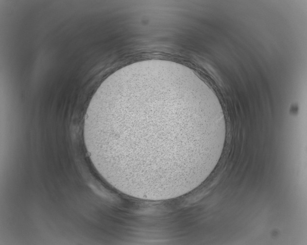 X0000116810077201001291610
