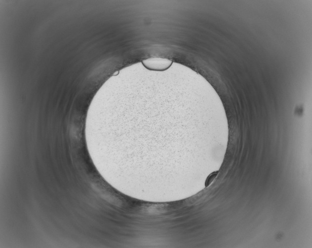 X0000116810078201001291610