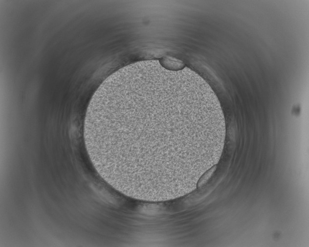 X0000116810079201001291610