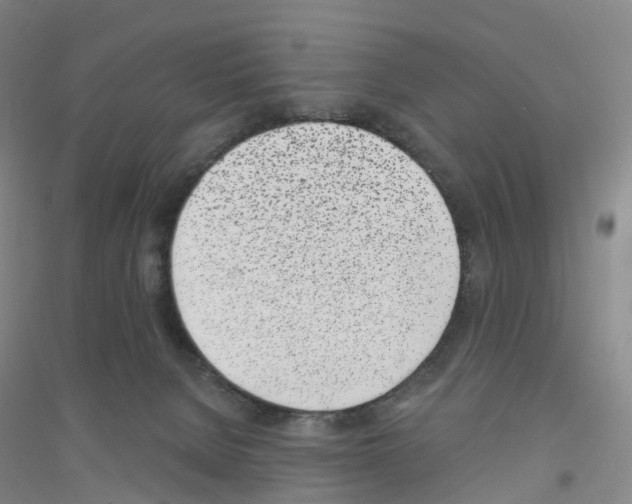 X0000116810080201001291610