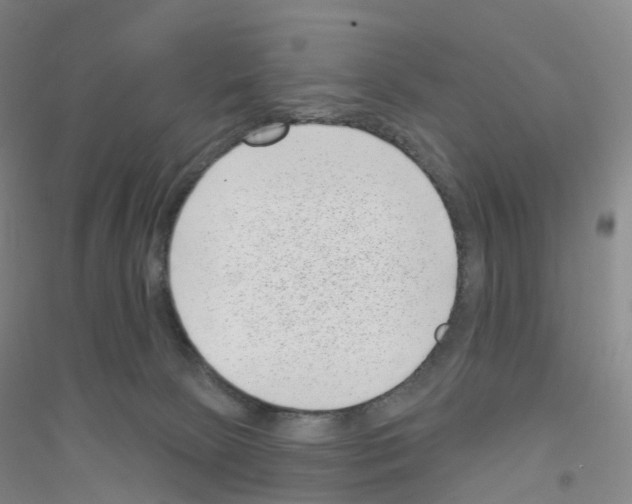 X0000116810081201001291610