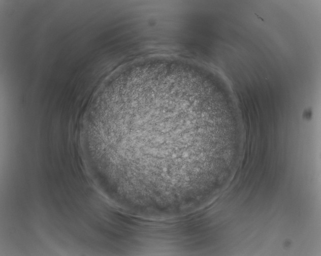 X0000116810083201001291610
