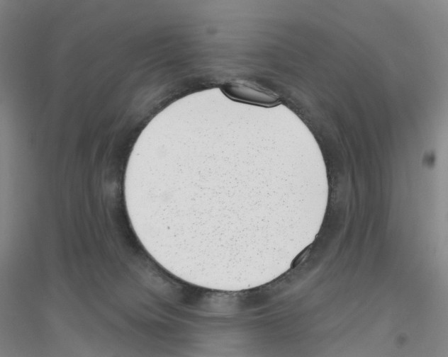 X0000116810084201001291610