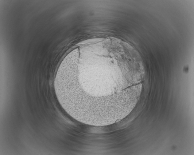 X0000116810085201001291610