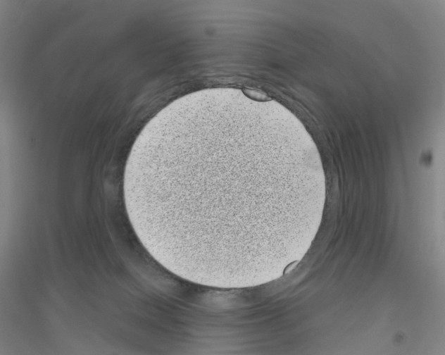 X0000116810086201001291610
