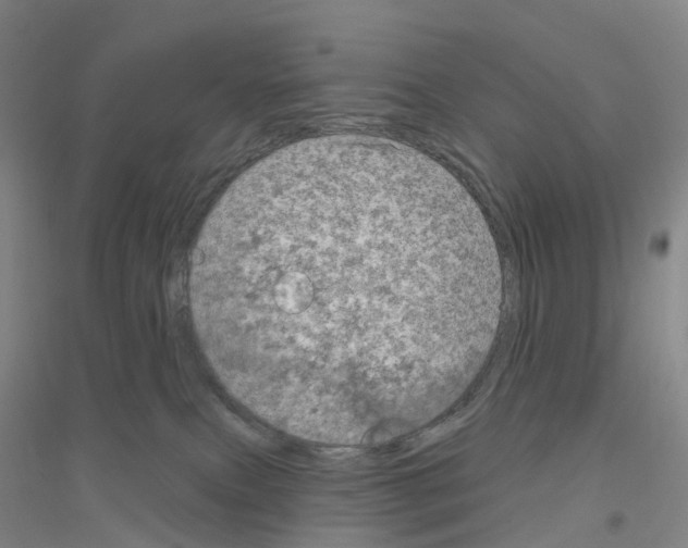 X0000116810087201001291610