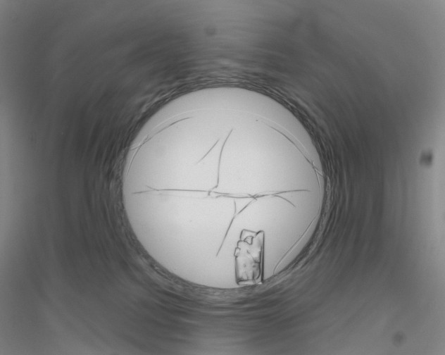 X0000116810088201001291610