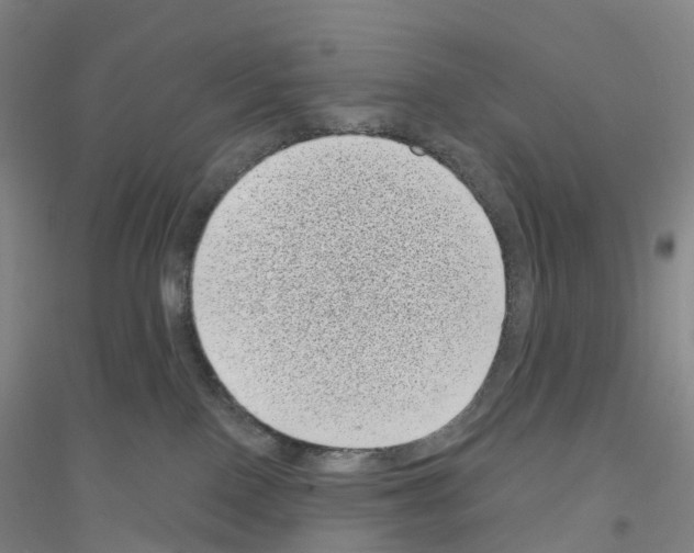 X0000116810090201001291610