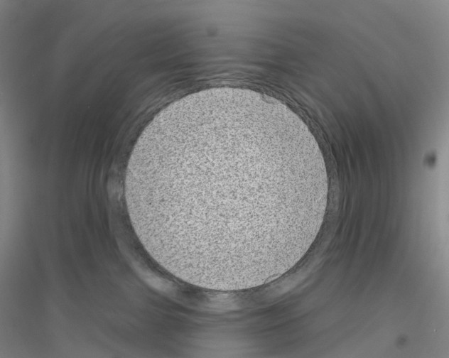 X0000116810091201001291610