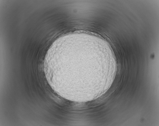 X0000116810093201001291610