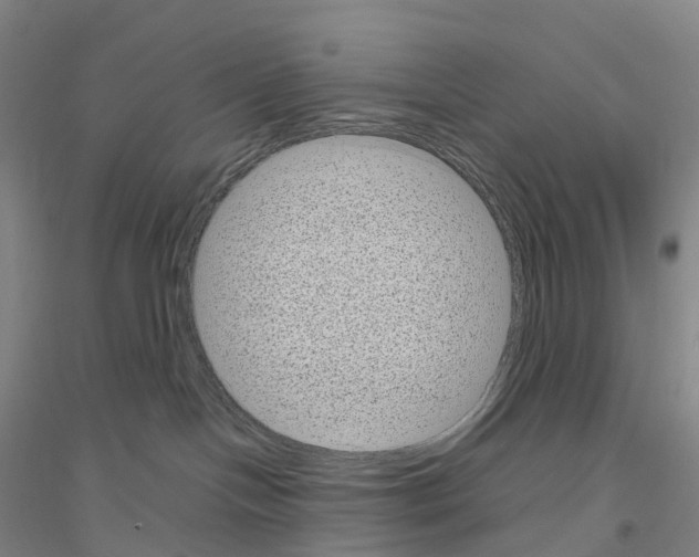 X0000116810094201001291610