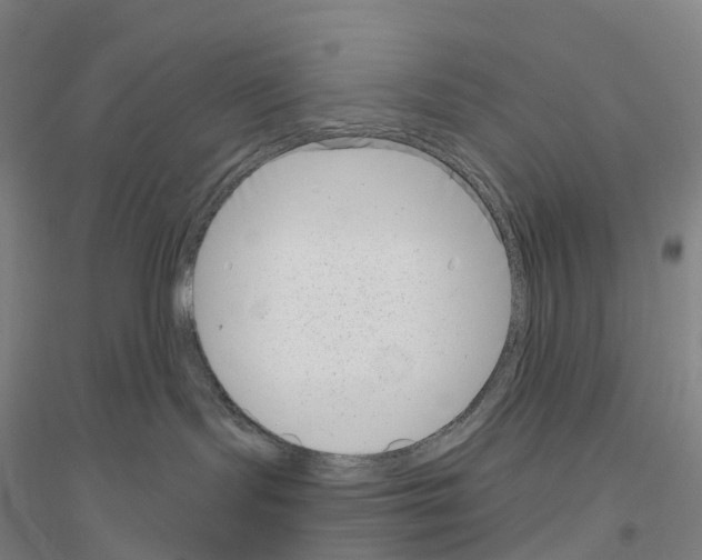X0000116810095201001291610