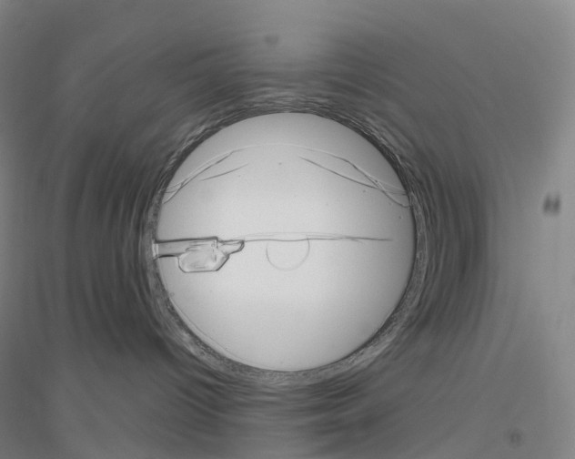 X0000116810096201001291610