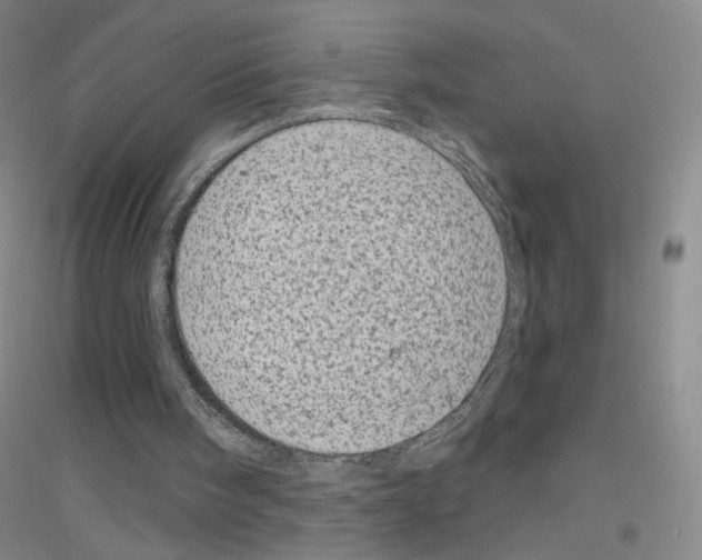 X0000116810098201001291609