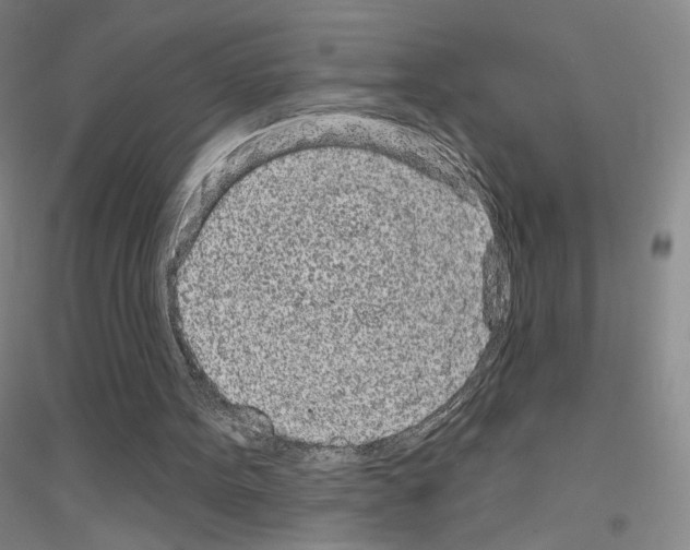 X0000116810099201001291609