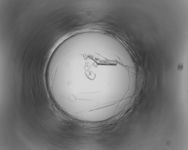 X0000116810100201001291609