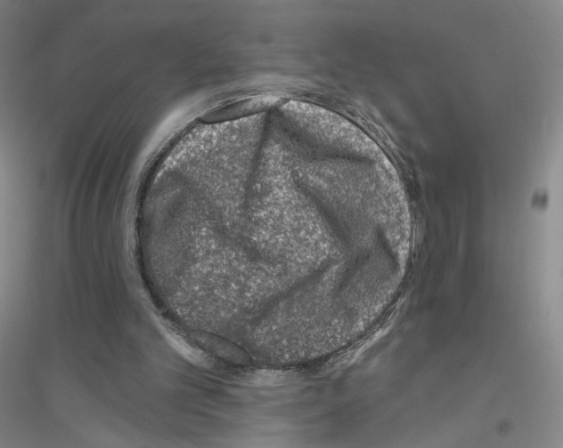 X0000116810101201001291609