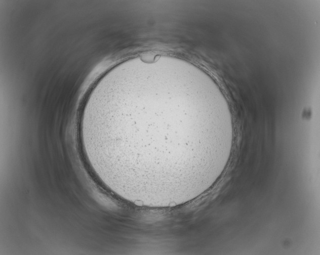 X0000116810102201001291609