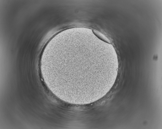 X0000116810103201001291609
