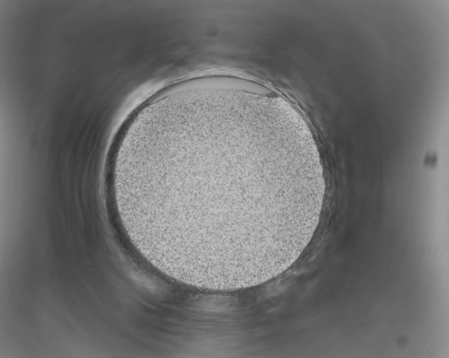 X0000116810104201001291609