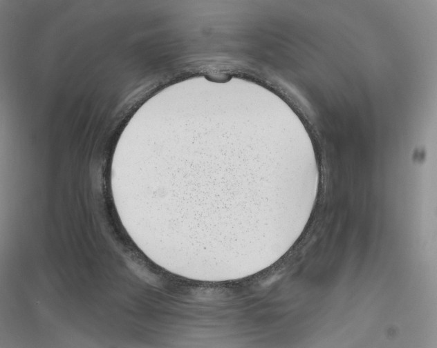X0000116810105201001291609