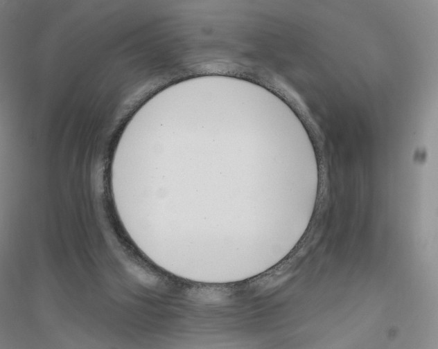 X0000116810106201001291609