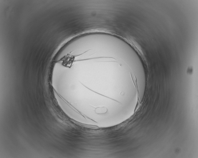 X0000116810108201001291609