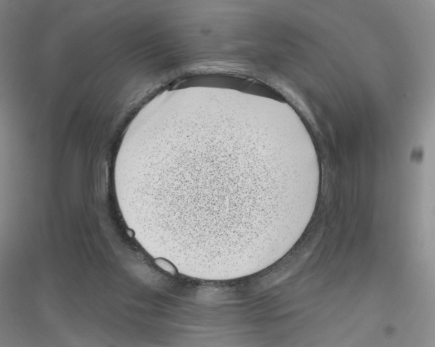 X0000116810109201001291609