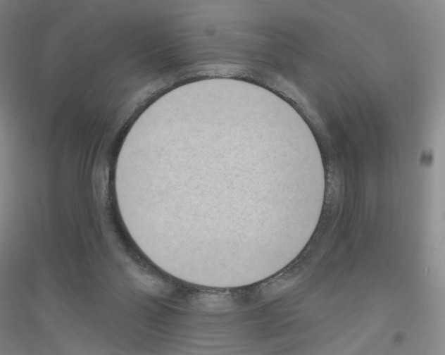 X0000116810110201001291609