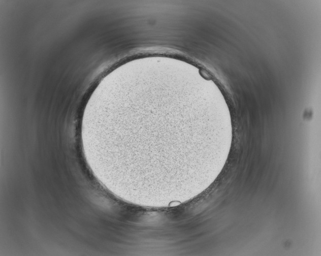 X0000116810111201001291609
