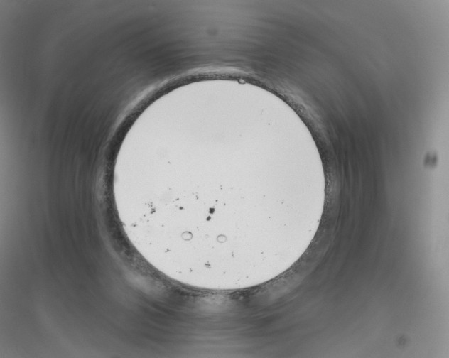 X0000116810112201001291609