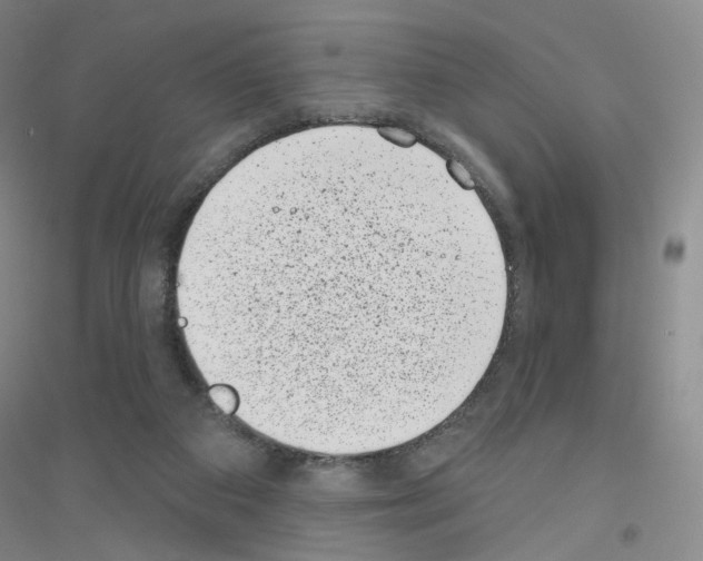 X0000116810113201001291609