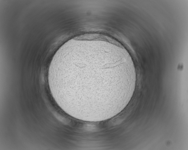 X0000116810114201001291609