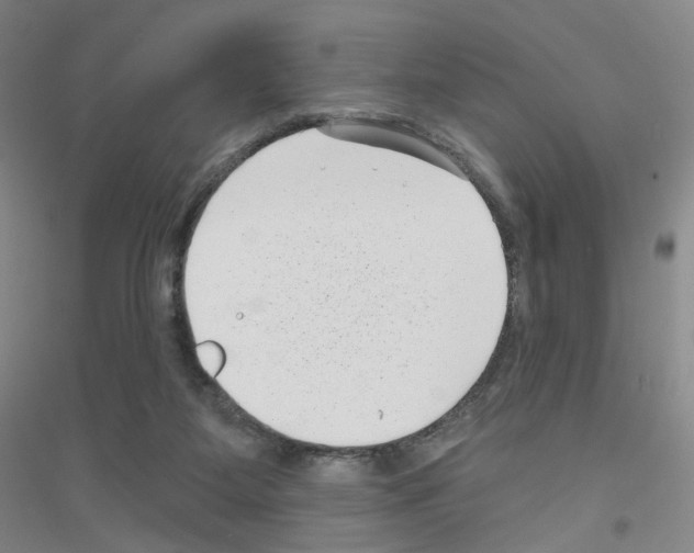 X0000116810115201001291609