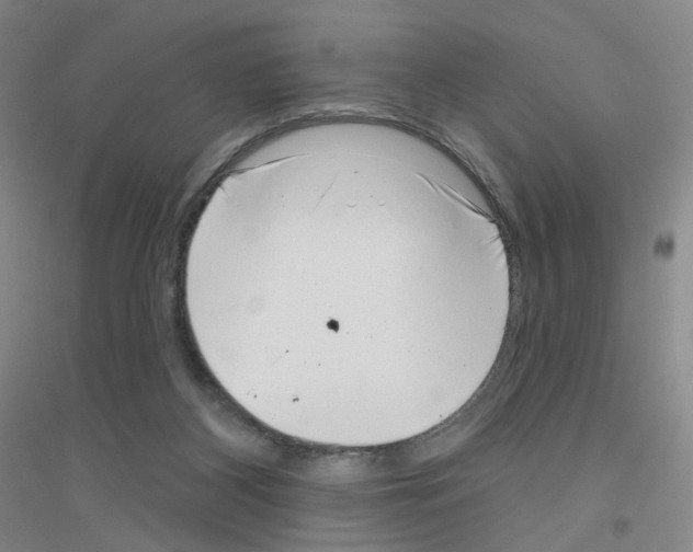 X0000116810116201001291609